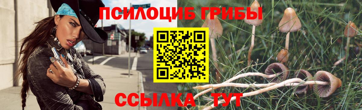 Галлюциногенные грибы Magic Shrooms Шарыпово